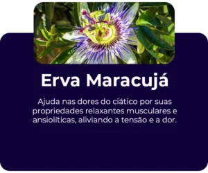 Erva-maracuja-passiflora-ingrediente-300x250-1.webp