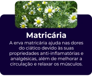 Matricaria-ingrediente2-300x250-1.webp