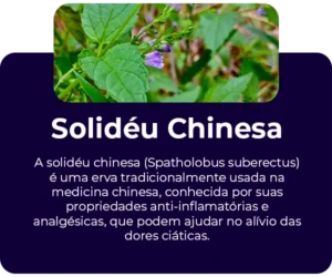 Solideu-Chinesa-300x250-1.webp